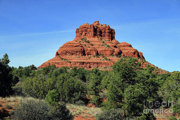 Bell Rock Poster featuring the photograph Bell Rock In Sedona by Teresa Zieba
