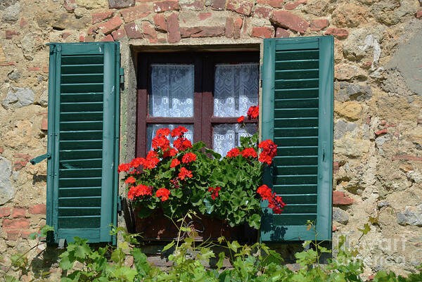 Geraniums Poster featuring the photograph Bella Italian window by Frank Stallone