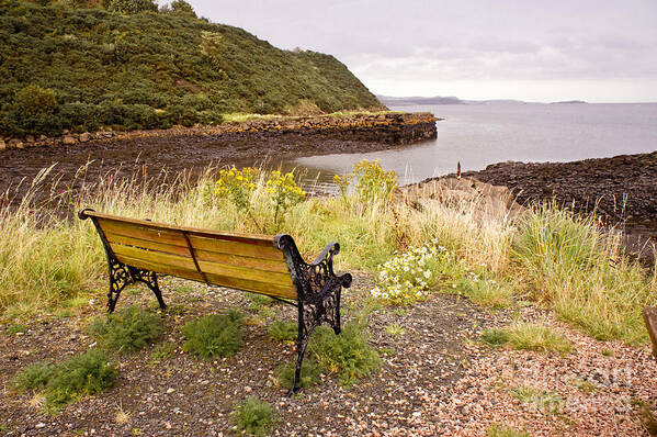 Bench Poster featuring the photograph Bench at the bay by Elena Perelman