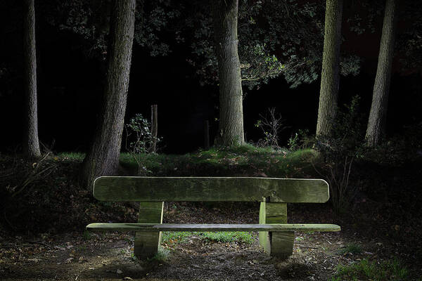 Bench Poster featuring the photograph Bench in the dark forest by Dirk Ercken