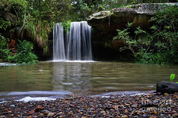 Waterfall Poster featuring the photograph Berowra Waterfall by Werner Padarin