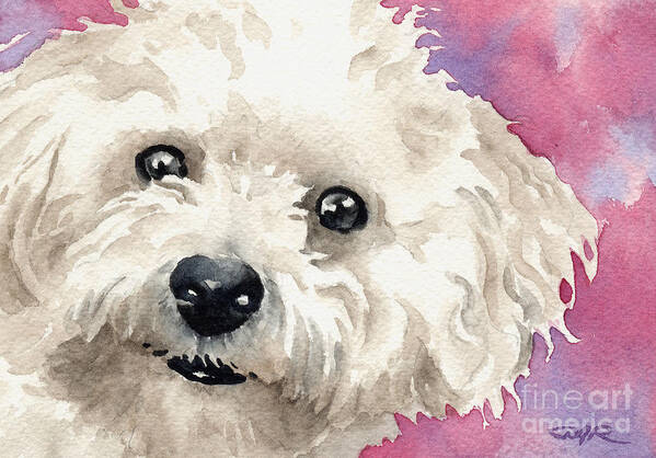 Bichon Poster featuring the painting Bichon Frise by David Rogers
