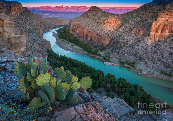 America Poster featuring the photograph Big Bend Evening by Inge Johnsson