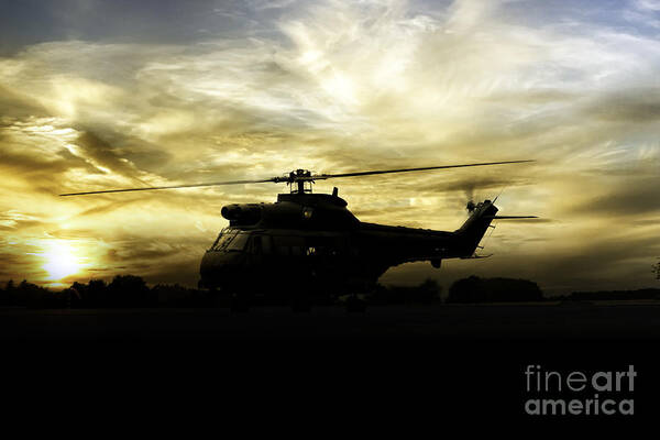 Raf Poster featuring the digital art Big Cat Sunrise by Airpower Art