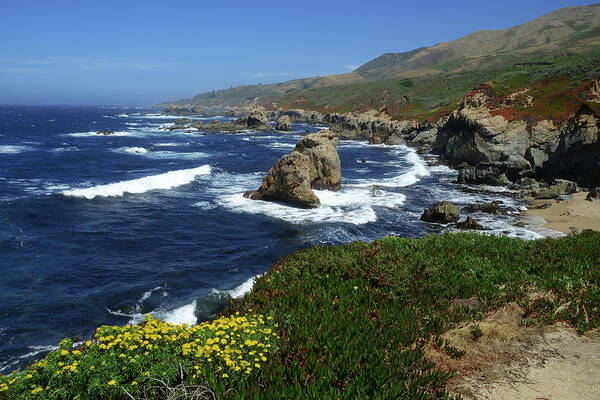 Big Sur Poster featuring the photograph Big Sur 2 by Renee Hardison
