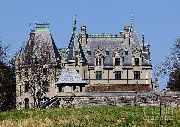 Biltmore Poster featuring the photograph Biltmore House - side view by Allen Nice-Webb