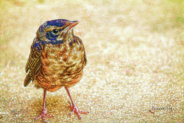 Bird Poster featuring the digital art Bird by Bonnie Willis