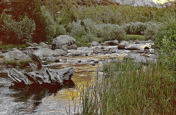 California Landscape Art Poster featuring the painting Bishop Creek Nightfall by Larry Darnell