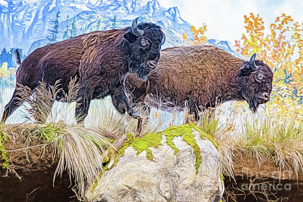 Animal Poster featuring the digital art Bison Pair by Ray Shiu