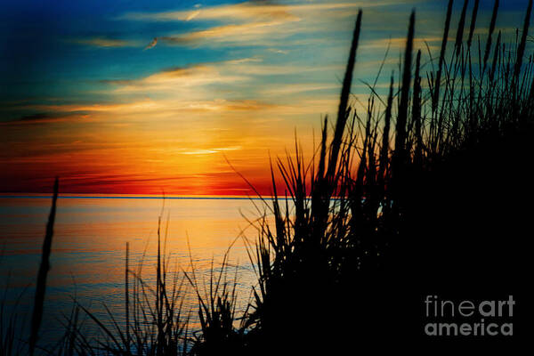 Ludington Poster featuring the photograph Black Grass by Randall Cogle