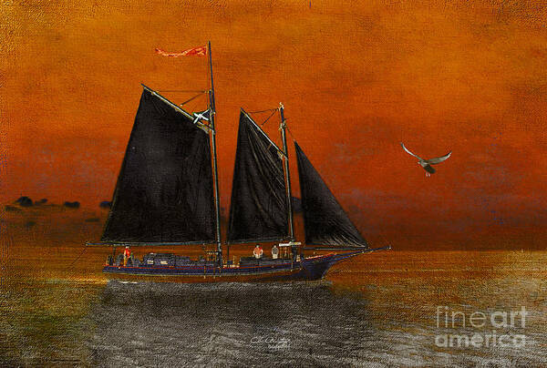 Schooner Poster featuring the digital art Black Sails in the Sunset by Chris Armytage