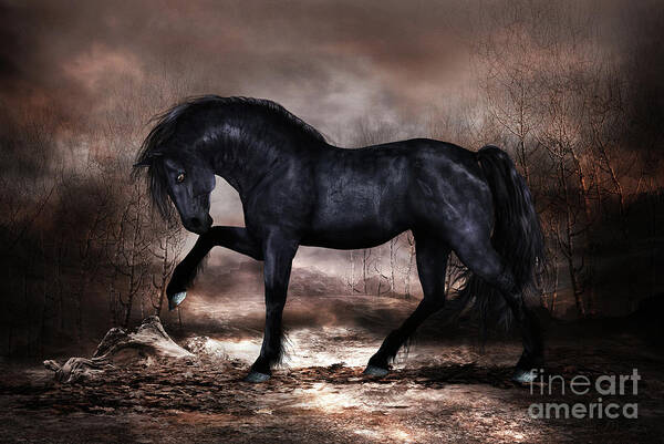 Black Stallion Poster featuring the mixed media Black Stallion by Shanina Conway