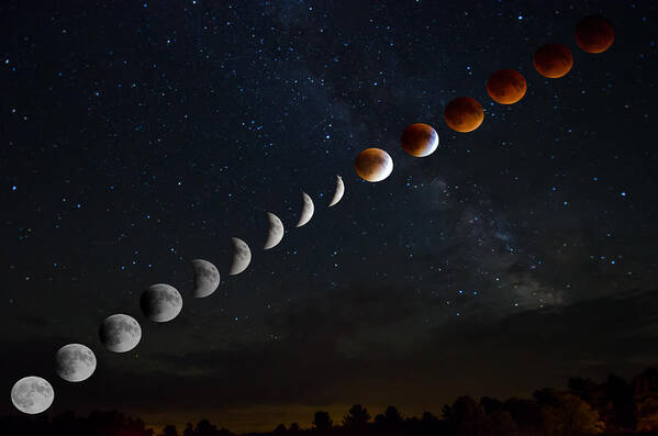 Blood Moon Poster featuring the photograph Blood Moon Lunar Eclipse by Crystal Wightman