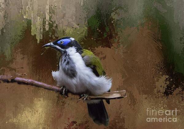 Blue-faced Honeyeater Poster featuring the photograph Blue-faced Honeyeater by Eva Lechner