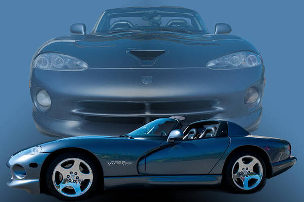 Viper Poster featuring the photograph Blue Grey Viper by Jim Hatch