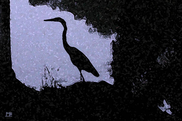 The Artist Has Prints Available On Both Canvas And Watercolor Paper. There Is A Framed Watercolor Paper Print Available Poster featuring the photograph Blue Heron by Patricia Bolgosano