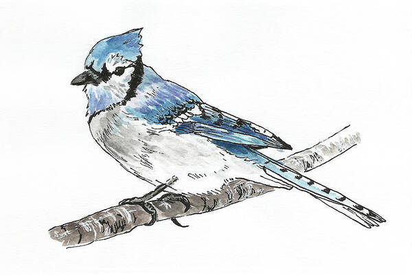Bird Poster featuring the painting Blue Jay by Masha Batkova