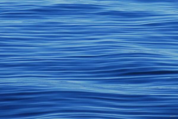 Water Poster featuring the photograph Blue by JoAnn Lense