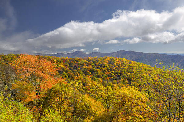 Blue Ridge Parkway Poster featuring the photograph Blue Ridge Mountains in Autumn Color by Darrell Young