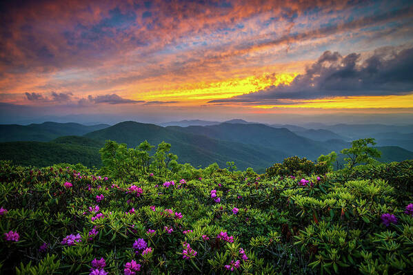 Spring Poster featuring the photograph Blue Ridge Parkway NC Blooming Sunset by Robert Stephens