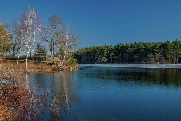 Blue Skies Over Houghtons Pond Poster featuring the photograph Blue Skies over Houghtons Pond by Brian MacLean