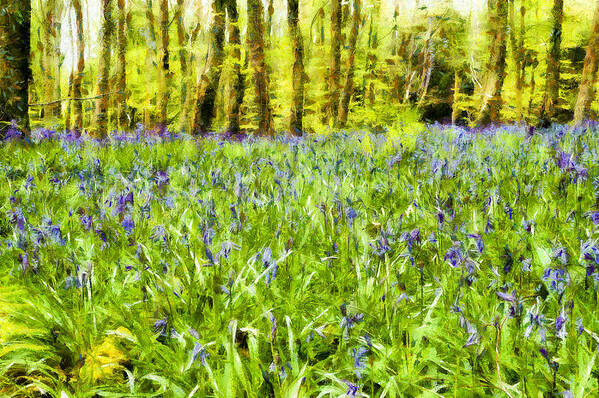 Bluebell Poster featuring the photograph Bluebell Wood by Nigel R Bell