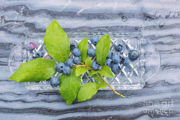 Stone Poster featuring the photograph Blueberries on marble bakground by Sophie McAulay