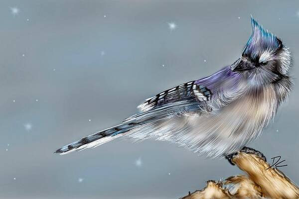 Bird Poster featuring the digital art Winter Bluejay by Darren Cannell