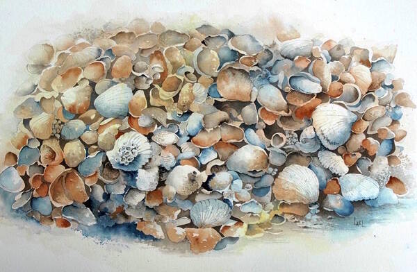 Boca Grande Poster featuring the painting Boca Grande Seashells by Lael Rutherford