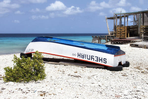 Caribbean Poster featuring the photograph Bonaire. The old boat by Yelena Rozov