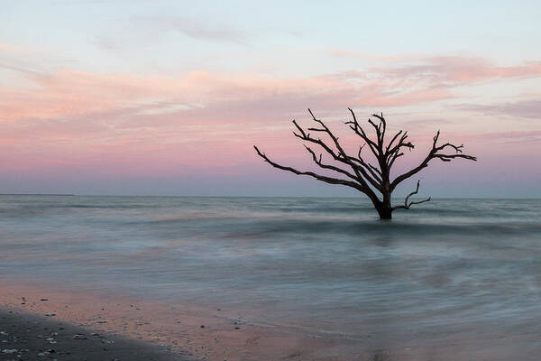 Botany Bay Poster featuring the photograph Boneyard Bye by Nicole Robinson