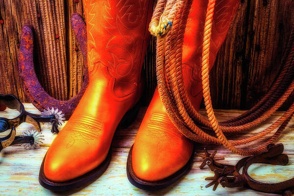 Spur Poster featuring the photograph Boots Rpoe And Spurs by Garry Gay
