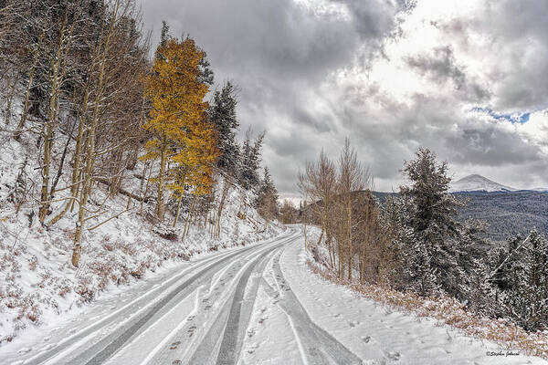 Boreas Pass Poster featuring the photograph Boreas Pass Tracks by Stephen Johnson