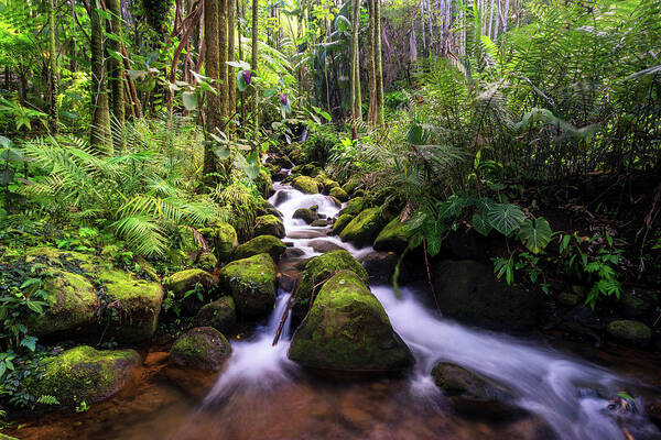 Boulder Creek Falls Poster featuring the photograph Boulder Creek Falls by Christopher Johnson