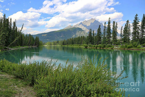 Banff Poster featuring the photograph Bow River in Banff by Carol Groenen