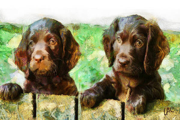 Boykin Spaniel Poster featuring the painting Boykin Buddies by Doggy Lips