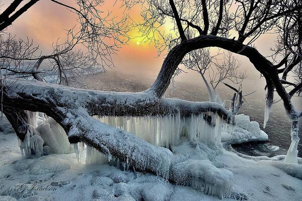 Great Lakes-lake Superior-sunrise-sea Smoke-ice-water-trees Poster featuring the digital art Break On Through by Gregory Israelson