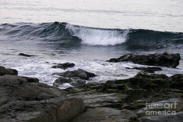 Seascape Poster featuring the photograph Breaking Waves by Carol Bradley