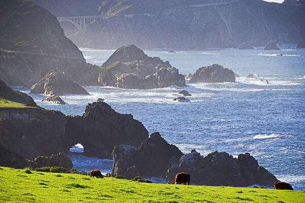 Ocean Poster featuring the photograph Bridge To Elswhere by Kellie Prowse