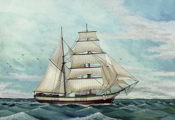 Brig Poster featuring the drawing Brig-Schooner by The Collectioner