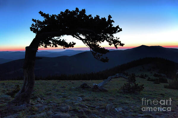 Bristlecone Landscape Poster featuring the photograph Unbroken by Jim Garrison