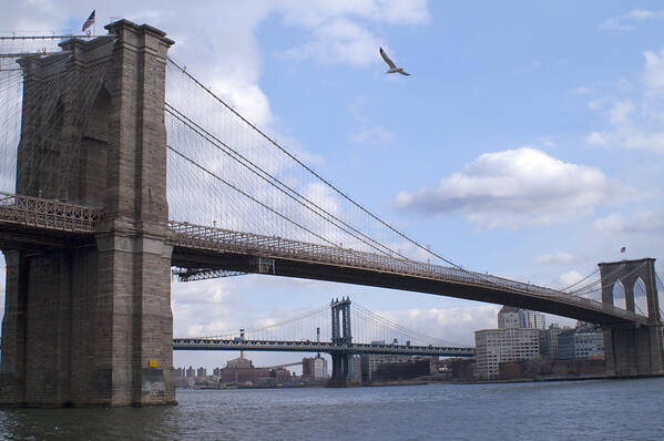 Brooklyn Poster featuring the photograph Brooklyn Bridge by Henri Irizarri