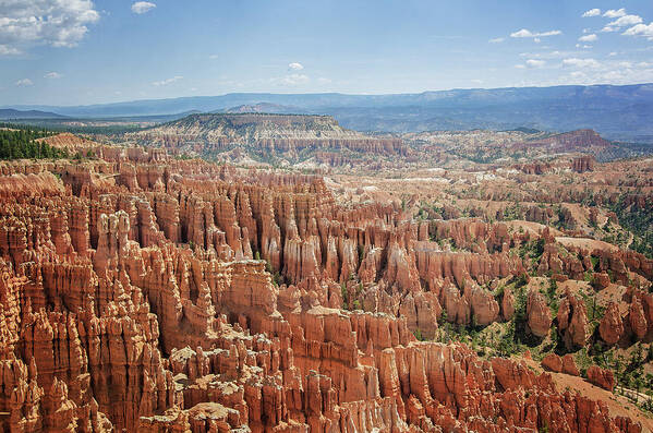 Bryce Canyon National Park 1 Poster featuring the photograph Bryce Canyon National Park 1 by Susan McMenamin