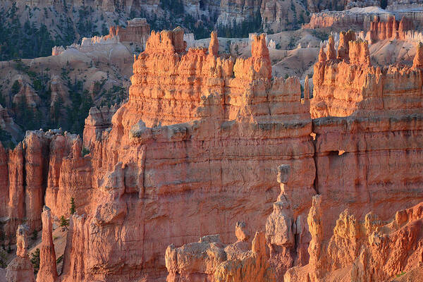Bryce Poster featuring the photograph Bryce Canyon Sunrise 2016a by Bruce Gourley