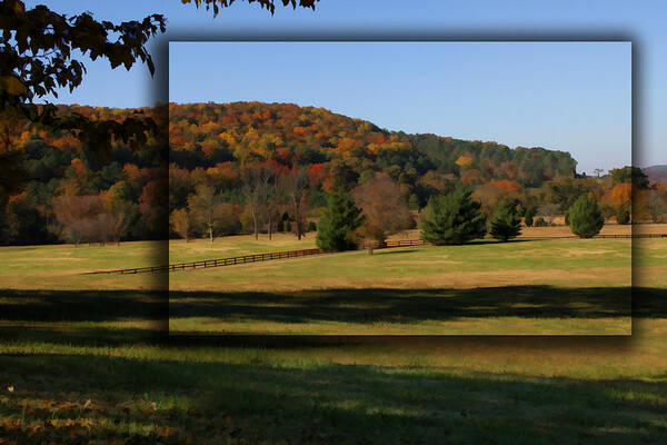 Bucks Mountain Poster featuring the photograph Bucks Mountain in Autumn by Patricia Montgomery