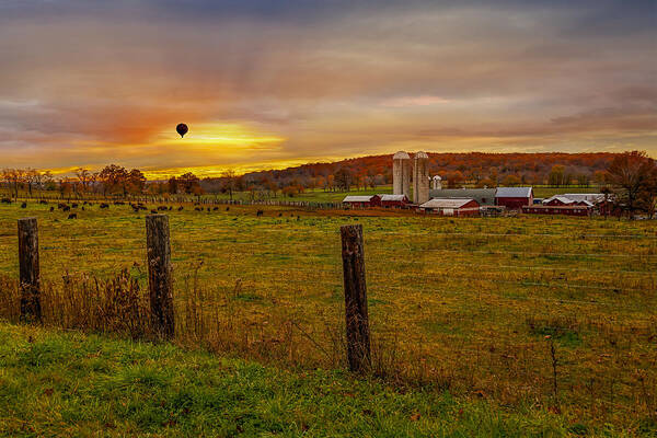 Farm House Poster featuring the photograph Buffalo Farm Sunset by Susan Candelario