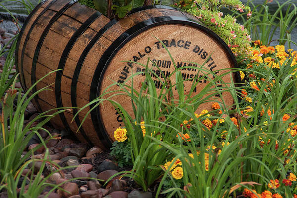 Kentucky Poster featuring the photograph Buffalo Trace Barrel by John Daly