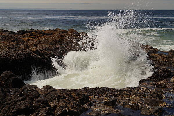 Crashing Wave Poster featuring the photograph Bursting Forth by Beth Collins