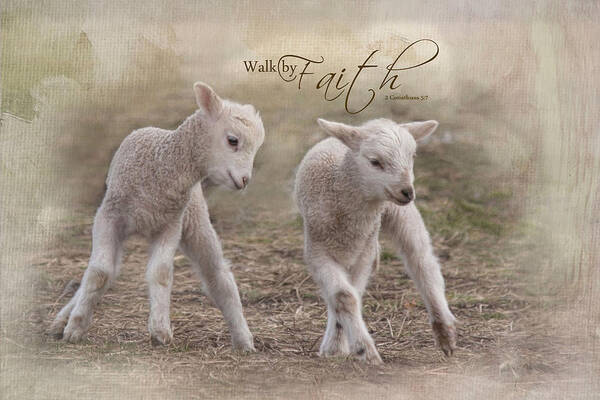 Lamb Poster featuring the photograph By Faith by Robin-Lee Vieira