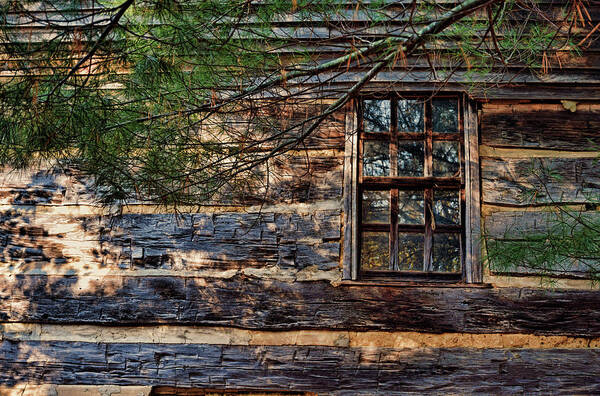 Cabin Poster featuring the photograph Cabin Window by Joanne Coyle